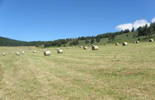 PETITE MAISON AU CALME AVEC VUE MAGNIFIQUE ! - Foto 27