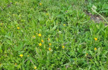 FINCA Del VALLE VTAR - Foto 43