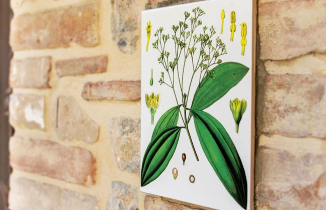 Holiday Home Near Pietrafitta Lake - Photo 22