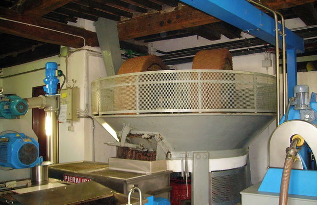 Fattoria Gambaro di Petrognano - Foto 77