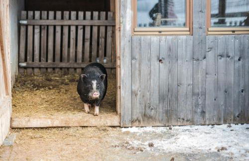 Pichlerhof - Foto 45