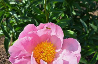 L'Horizon du Vignoble - Foto 20