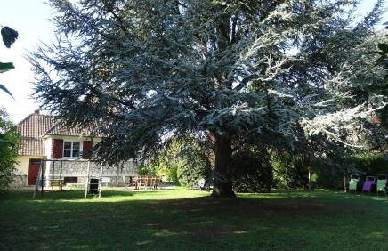 LE MAS maison vue sur Loire jardin 4 - Foto 35