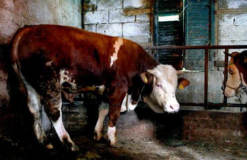 Agriturismo Il Raduno - Foto 119