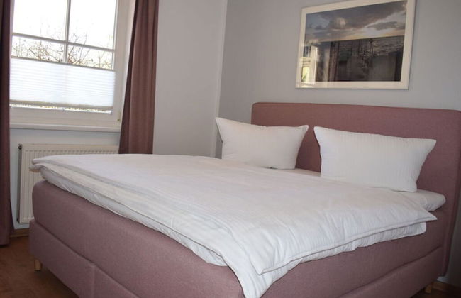 Herring Gull in the Villa Meernixe Binz - Photo 2