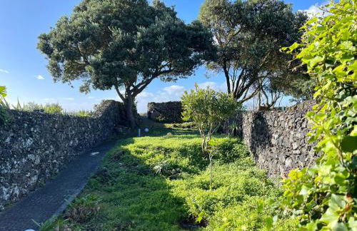 Casa O Refúgio - Photo 43