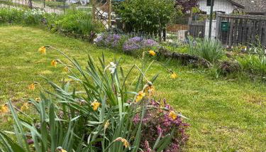 Casa GOLLES - Val Di Fiemme - Foto 3, Garden