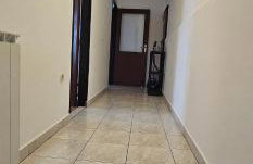 Apartman Pida , apartman s 1 spavaćom sobom - Foto 3