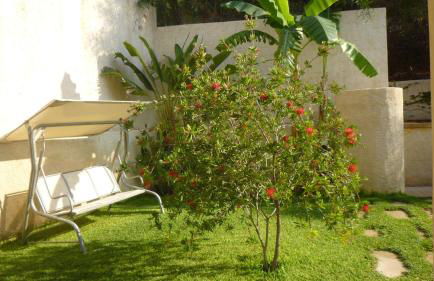 Villa Solare - Foto 10