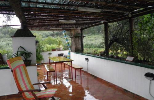 Masseria Sparano - Foto 30