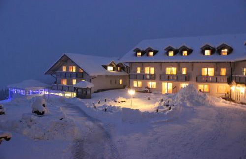 Richterhof Wellness Apartments Bayerischer Wald - Foto 18