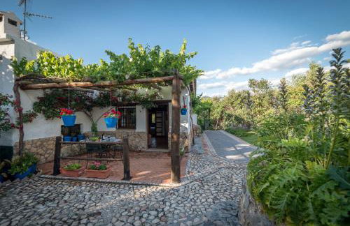 Al Agia - Molino Mísqueres de Padul - Foto 7