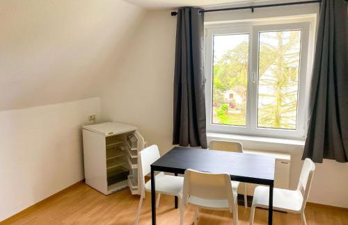 Monteurwohnungen Wiednitz, Einzelbetten, Küche, Parkplatz - Foto 6