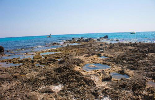 Residence Esmeraldo - Foto 19