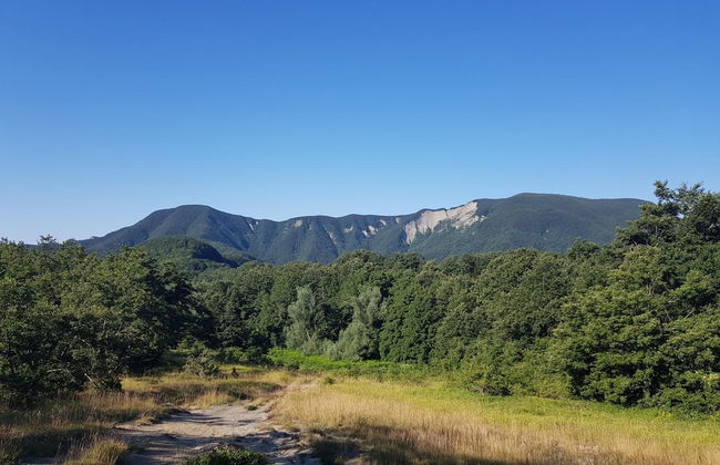 Alla Battuta - Foto 49