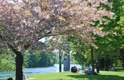 Private 1 bedroom flat with Garden Access in Le Pecq - Foto 14