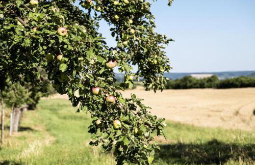 Wohnen im Denkmal - Foto 6