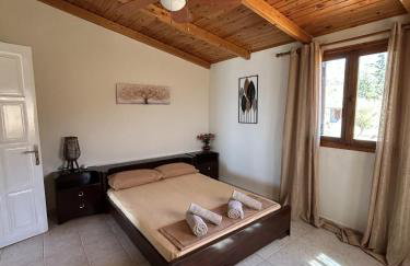 Ziras Traditional Villa - Photo 5