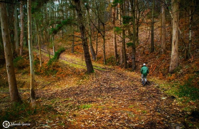 El Interior De Gaia - Foto 16