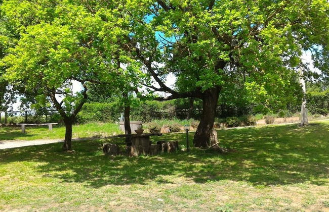 Agriturismo San Filippo - Foto 28