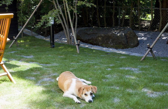 Rakuten STAY VILLA Hakone Sengokuhara - Foto 48