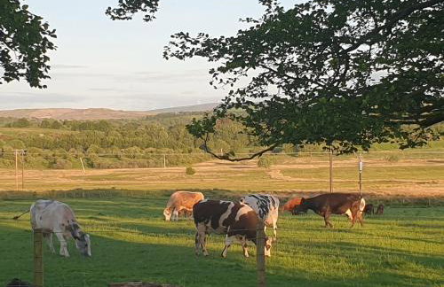 Cosy Wood Cabin in Rural Area Near National Park - Foto 44