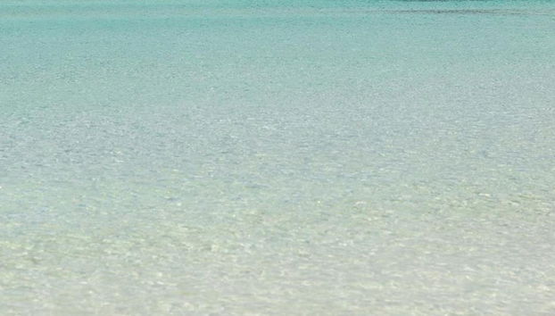 2105 B B Le Radici Del Salento - Quadrupla - Foto 3