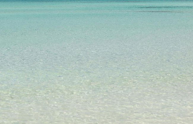 2105 B B Le Radici Del Salento - Quadrupla - Foto 3