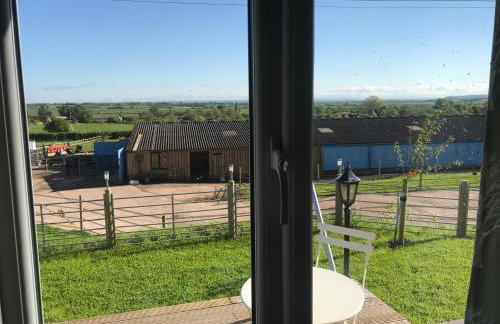 Willowbank shepherds hut - Foto 35