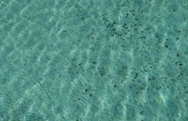 Starbal Apt - Foto 19