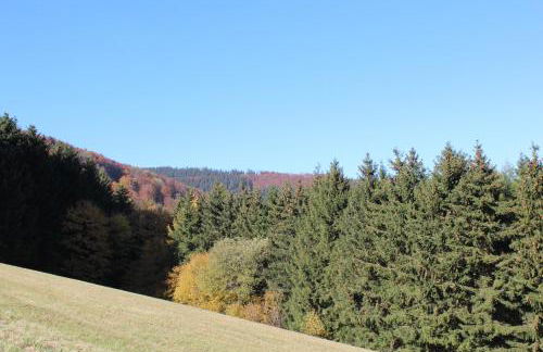 Ferienwohnung Emde - Foto 40