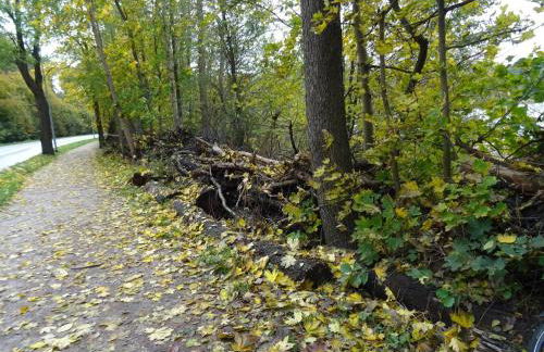 Appartement in Strausberg mit Frühstück inklusive - Foto 30