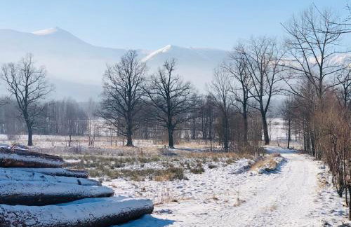 Apartament Sasanka - Foto 2