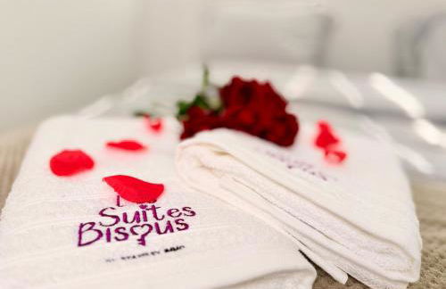 Les Suites Bisous Metz - Jacuzzi & Private Sauna - Photo 5