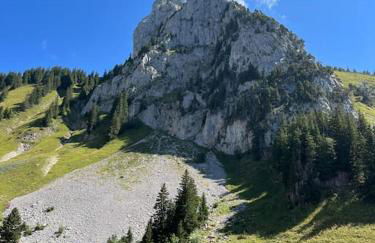 La Ferme du Nant - Portes du Soleil - Photo 35