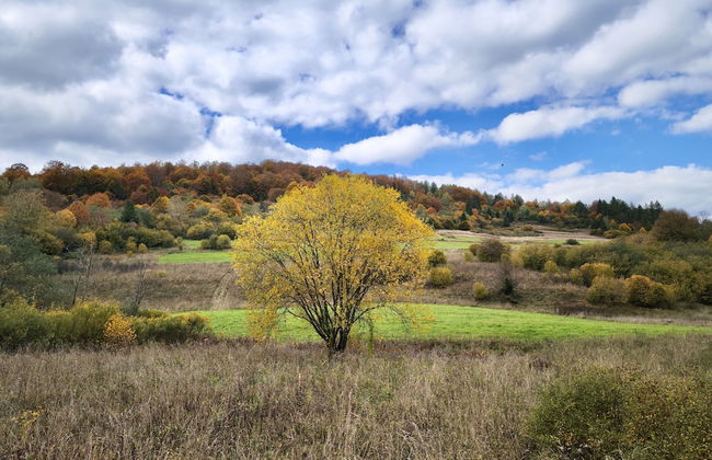 Korona Bieszczad Premium Apartments - Foto 65