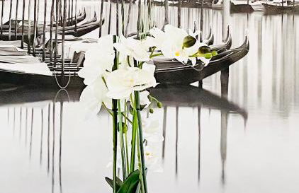 Arina & Julien Dieppe - Foto 45