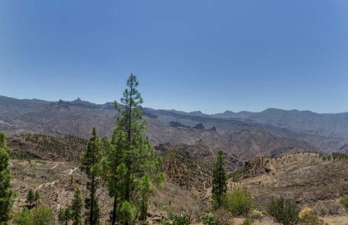 Los Mojones - Foto 25