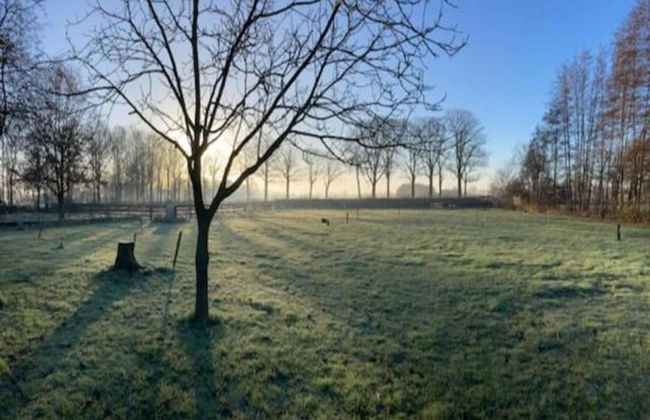 Comfy Groenlo Apartment With Garden - Foto 78