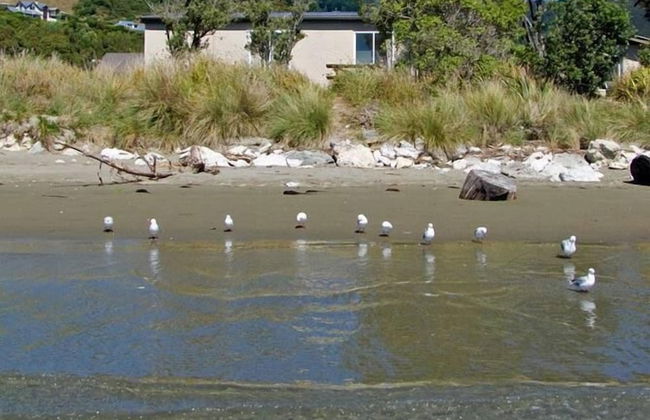 Pohara Beach Top 10 Holiday - Foto 36