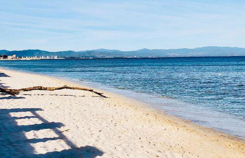 Les flamants Roses la Capte Clim 4pers 100m plage - Foto 17