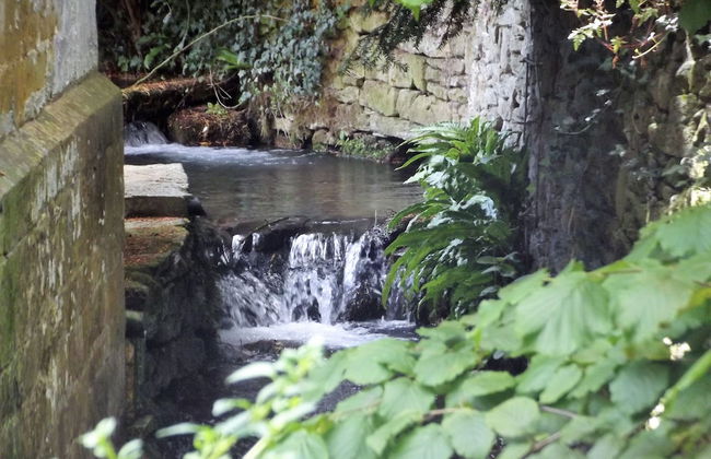 Bridge Farm Holiday Cottages - Foto 59