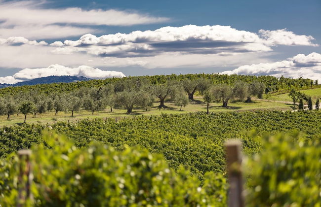 Pecora Vecchia - ColleMassari Hospitality - Photo 31