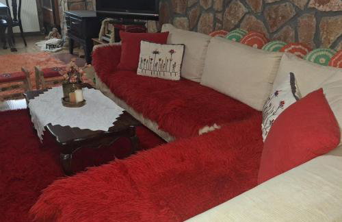 Το Πέτρινο της Γιαγιάς - Foto 8