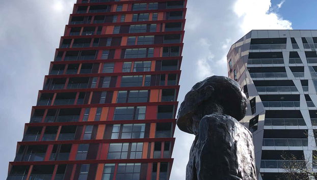 Observez les différentes constructions