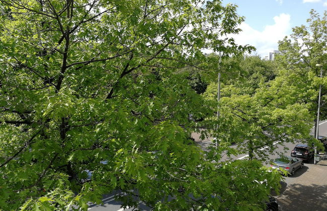 Apartment Sofia - Foto 46