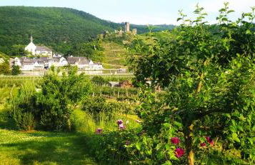 Ferienwohnung Probst - Foto 1