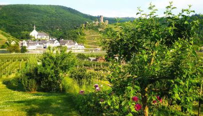 Ferienwohnung Probst - Foto 1, Garden, Garden view
