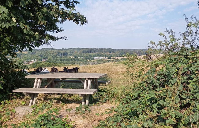 Cozy Holiday Home in Haderslev near Ocean - Foto 17