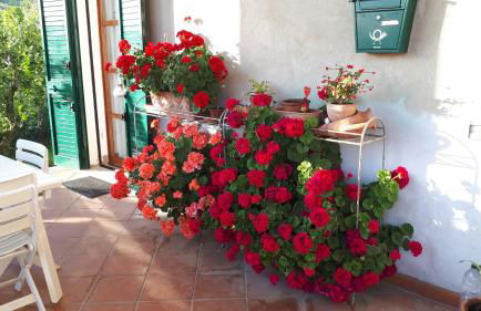 Casa di Giulia (Bambini gratis fino a 6 anni) - Foto 28